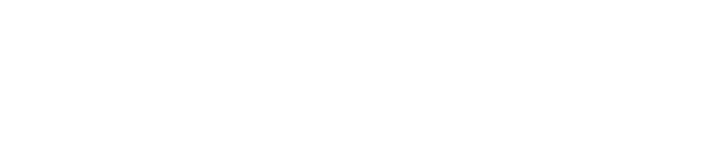 美容室・美容院のPOSレジ・セルフレジ・電子カルテ Salon de Net(サロンドネット) ロゴ画像